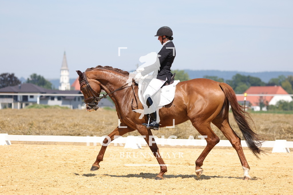 0P6A0620 | Willkommen bei Brunnmayr - Design & Fotografie – Ihrem Spezialisten für Reitturniere und Pferdeveranstaltungen in Oberösterreich, Salzburg und Bayern! Seit über 17 Jahren sind wir leidenschaftlich dabei.