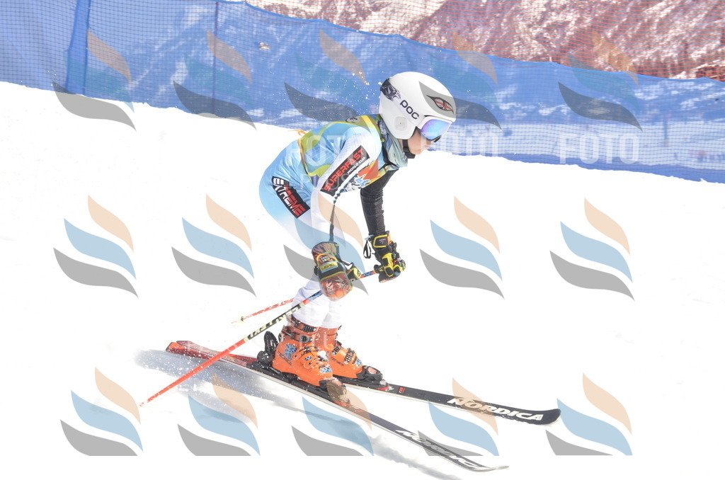 _ELE9577 | holidayphoto