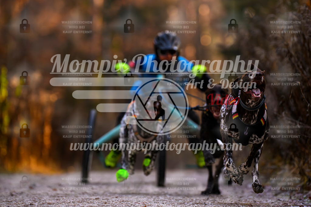 MompixPhotography_DM_AKDM_SO_2025_Wagen-49 | PayLife