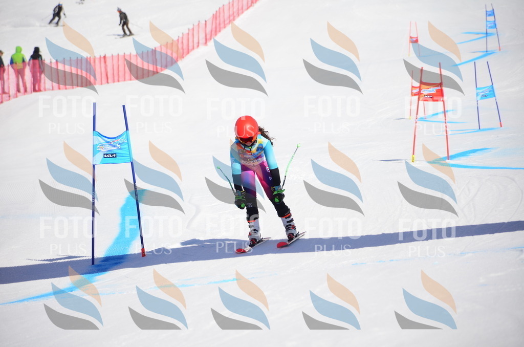 VR4_9671 | holidayphoto