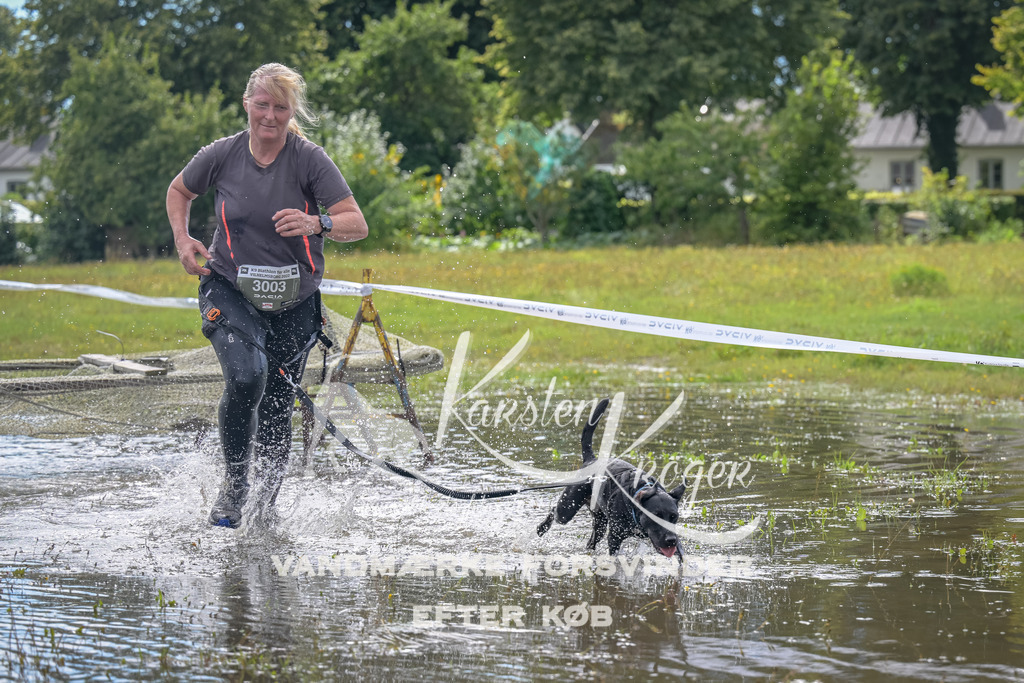 1329_ZZ91409 | kk-dogfotos