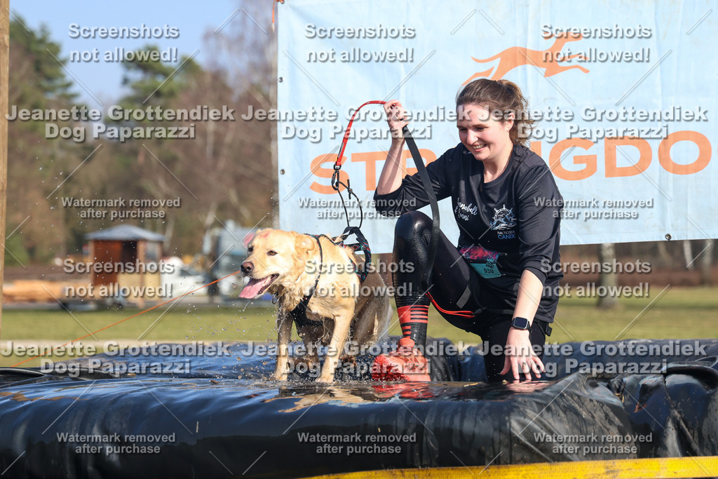 Dog Paparazzi - Strongdog North Mrz26-3314 | Dog Paparazzi Jeanette Grottendiek Fotografie & Videografie - Realisiert mit Pictrs.com