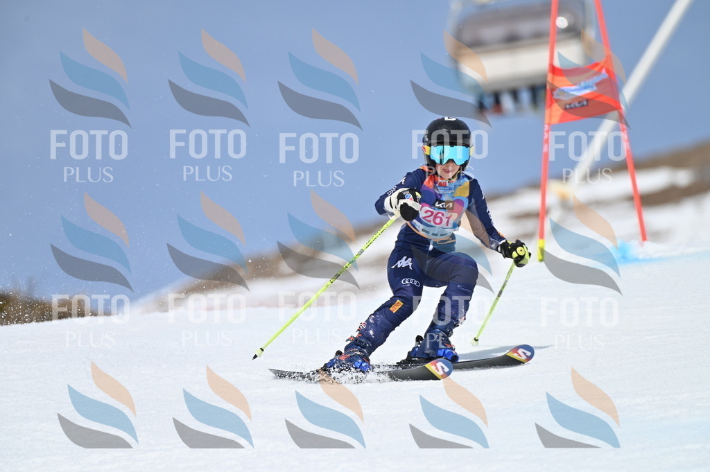 BGV_2086 | holidayphoto