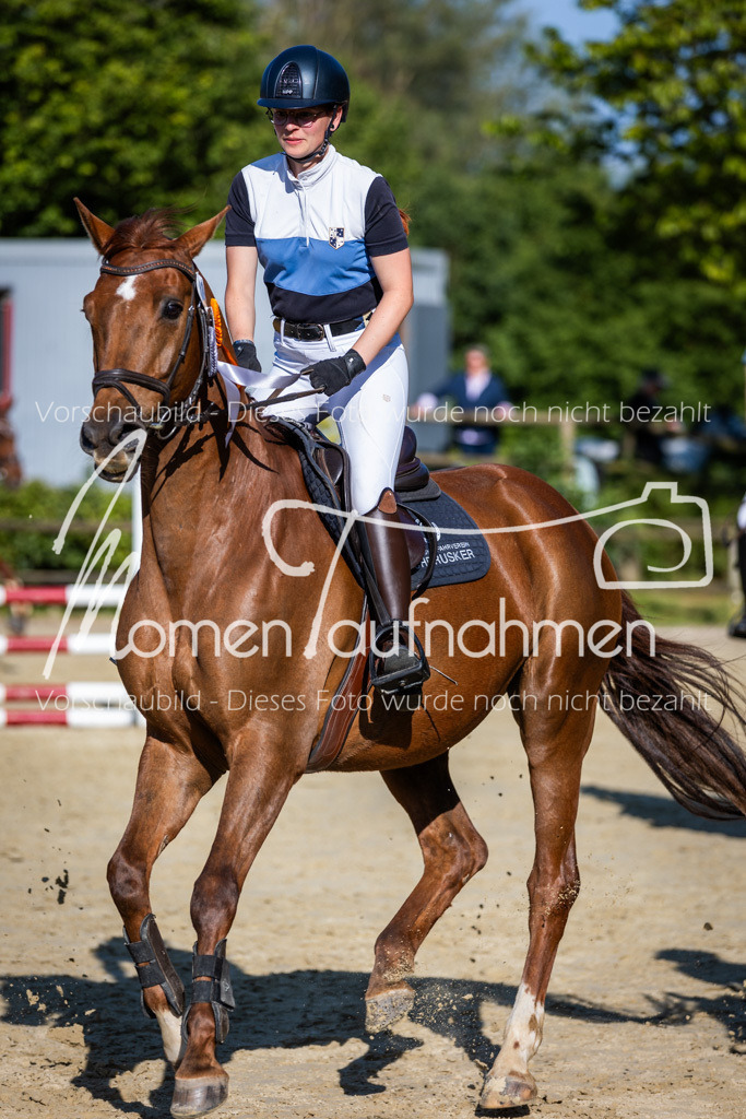 Donop24-ASpr-132 | MomenTaufnahmen Pferdesportfotos