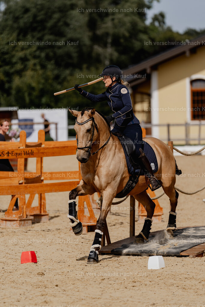Diana11_FHC2025-2972 | working equitationturnier fotograf videograf stoibphotography marixx film working equitation deutschland reitsport turnierfotografie eventfotografie equestrian events