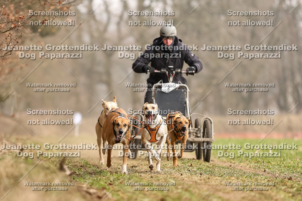 Dog Paparazzi - Plate 2026-92 | Dog Paparazzi Jeanette Grottendiek Fotografie & Videografie - Realisiert mit Pictrs.com