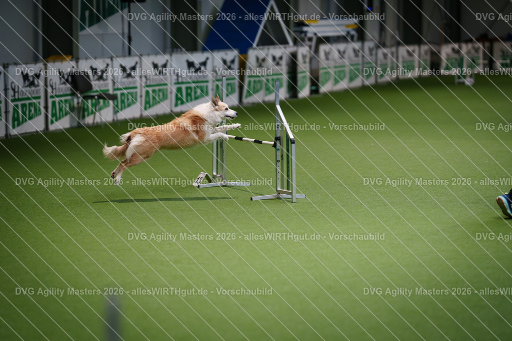 allesWIRTHgut_Tierfotografie-DVG_Agility_Masters_2026-08_25-7R500393 | Professionelle Tierfotografie in Mönchengladbach von Daniel Wirth (allesWIRTHgut). Liebevolle & natürliche Bilder von Hunden & Katzen für unvergessliche Erinnerungen.
