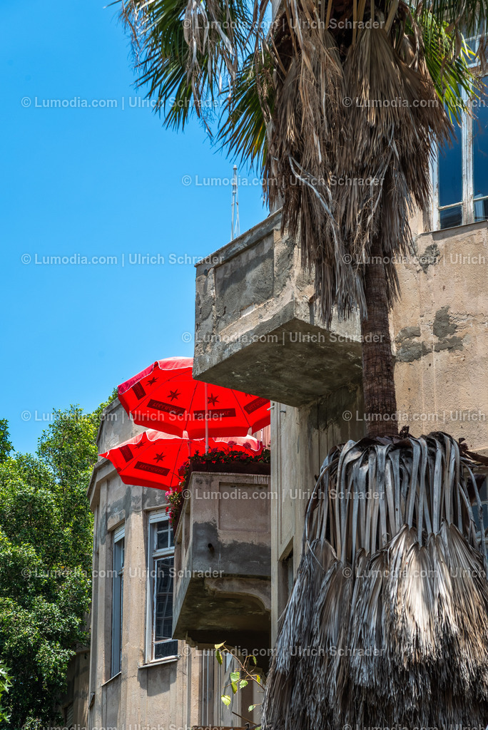 10972-10159 - Tel Aviv - Rothschild Boulevard | Stockfoto und Bilderpool mit Bildmaterial aus Deutschland, dem Harz, Halberstadt, Quedlinburg, Wernigerode und weltweit. Qualitativ hochwertige und professionelle Fotos anschauen und kaufen. - Realisiert mit Pictrs.com