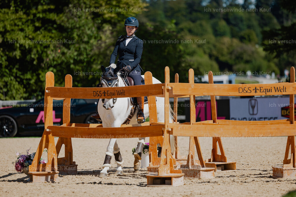 Steffi23_FHC2025-33 | working equitationturnier fotograf videograf stoibphotography marixx film working equitation deutschland reitsport turnierfotografie eventfotografie equestrian events