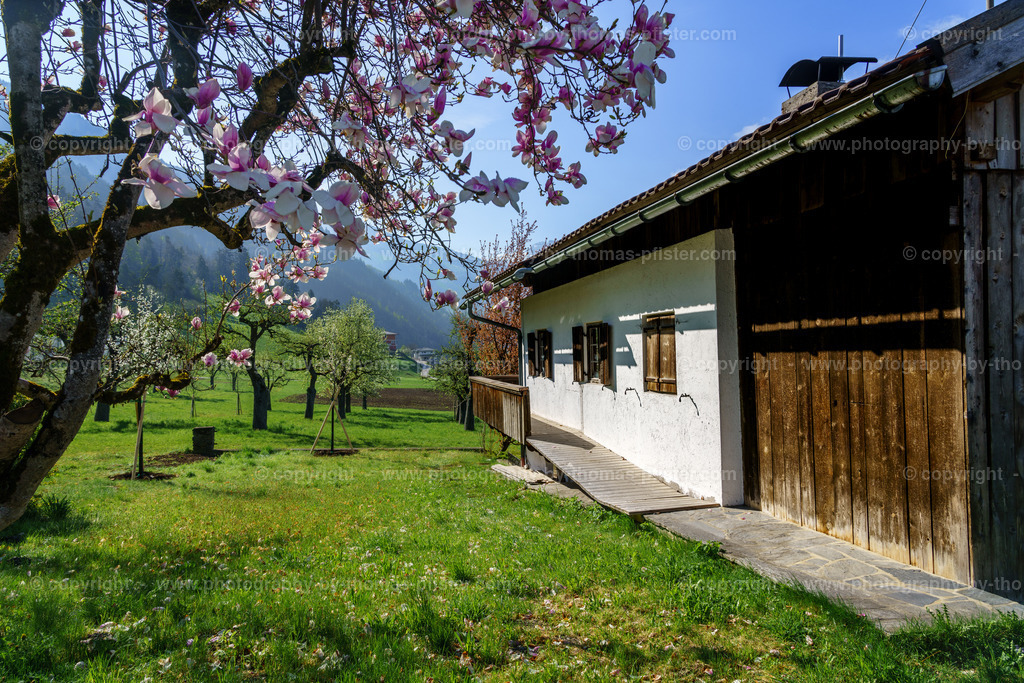 Stumm im Frühling copyright  Thomas Pfister-8 | PHOTOGRAPHY BY THOMAS PFISTER