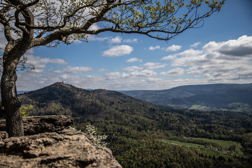 IMG_2346 | ehrlichefotos - Realisiert mit Pictrs.com