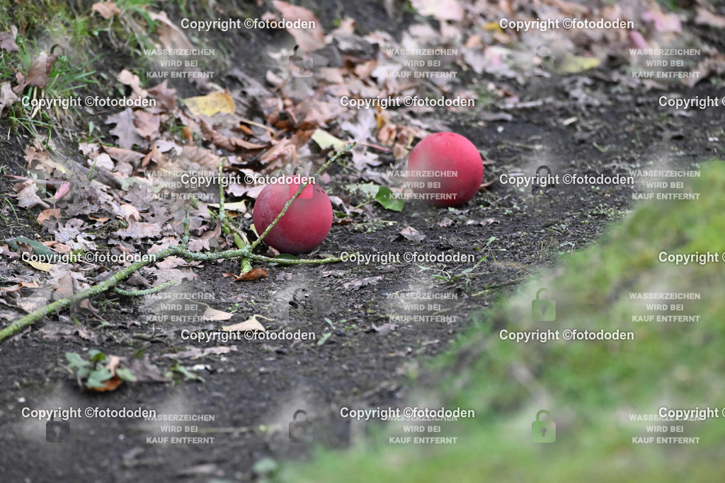 DSC_6984 | fotododen.de präsentiert ein umfangreiches Sportfoto Archiv mit Aufnahmen aus verschiedenen Sportarten im Raum Ostfriesland.