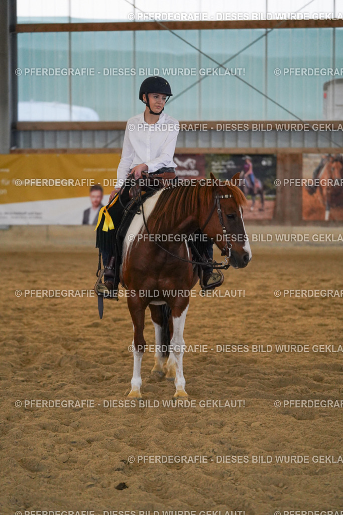 DSC09206 | Pferdegrafie