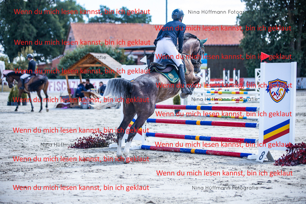 BK1A5098 | Turnierbilder Turnierfotos Nina Hüffmann Turnierfotografie Pferdefotografie Tierzeichnung Haustierzeichnung Pferdezeichnung Hundezeichnung Videograf  - Realisiert mit Pictrs.com