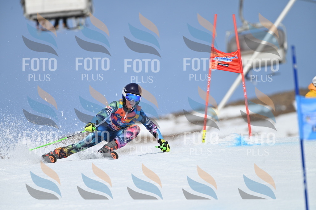 BGV_0980 | holidayphoto