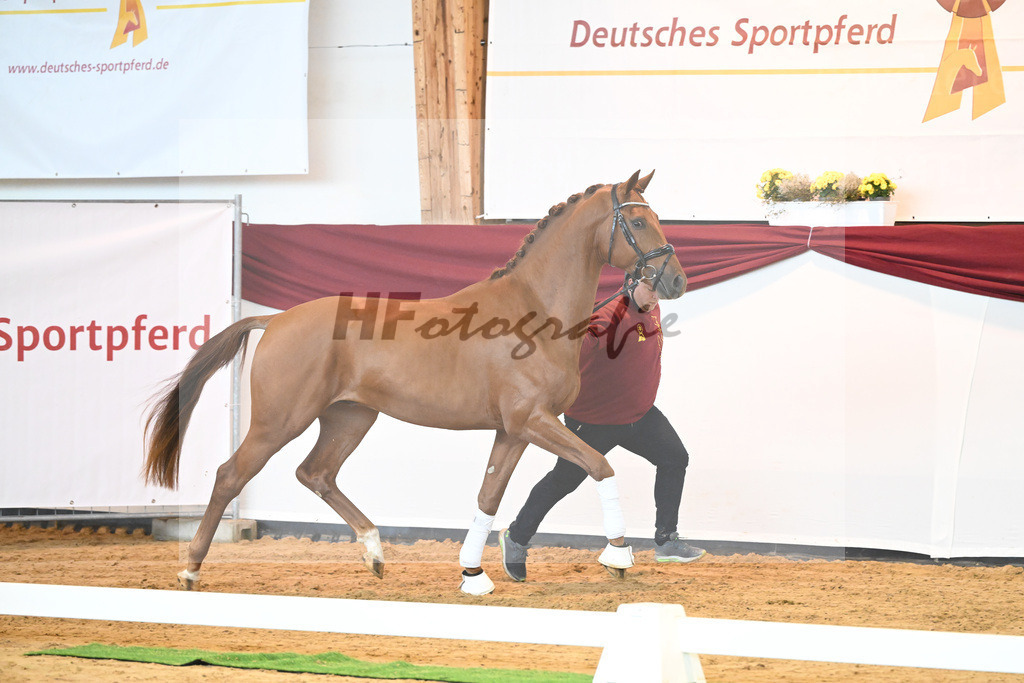 Kat-Nr. 28 v. Erdinger_Schuhmacher_66220778 | hf-fotografie - Realisiert mit Pictrs.com