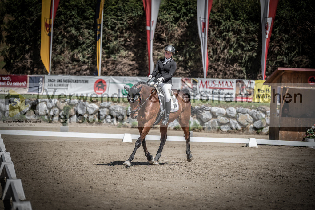 DSC_0417 | equestrian-live-com