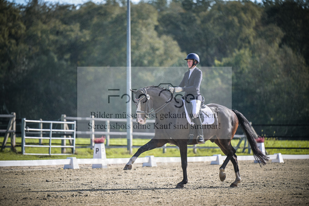 DOS_0513 | Entdecke hochwertige Reitturnierfotos von Foto Oger. Professionell, emotional und authentisch – jetzt Lieblingsmomente im Shop bestellen.Deutschlandweite Turnierfotografie. - Realisiert mit Pictrs.com