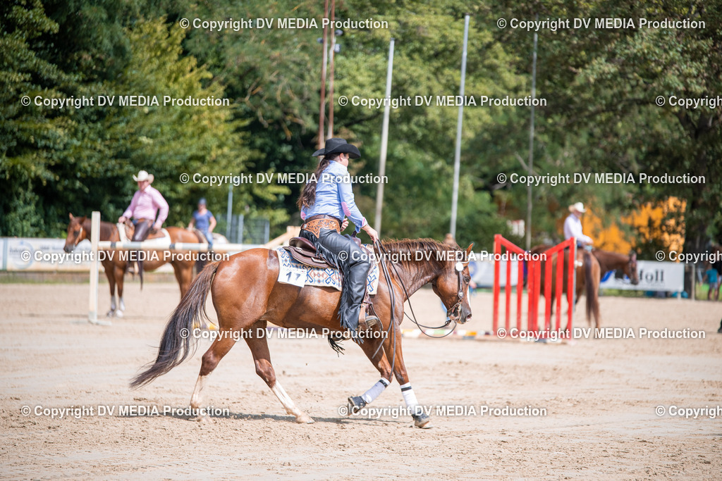 ZS3_5261 | dv-media-shop - Realisiert mit Pictrs.com