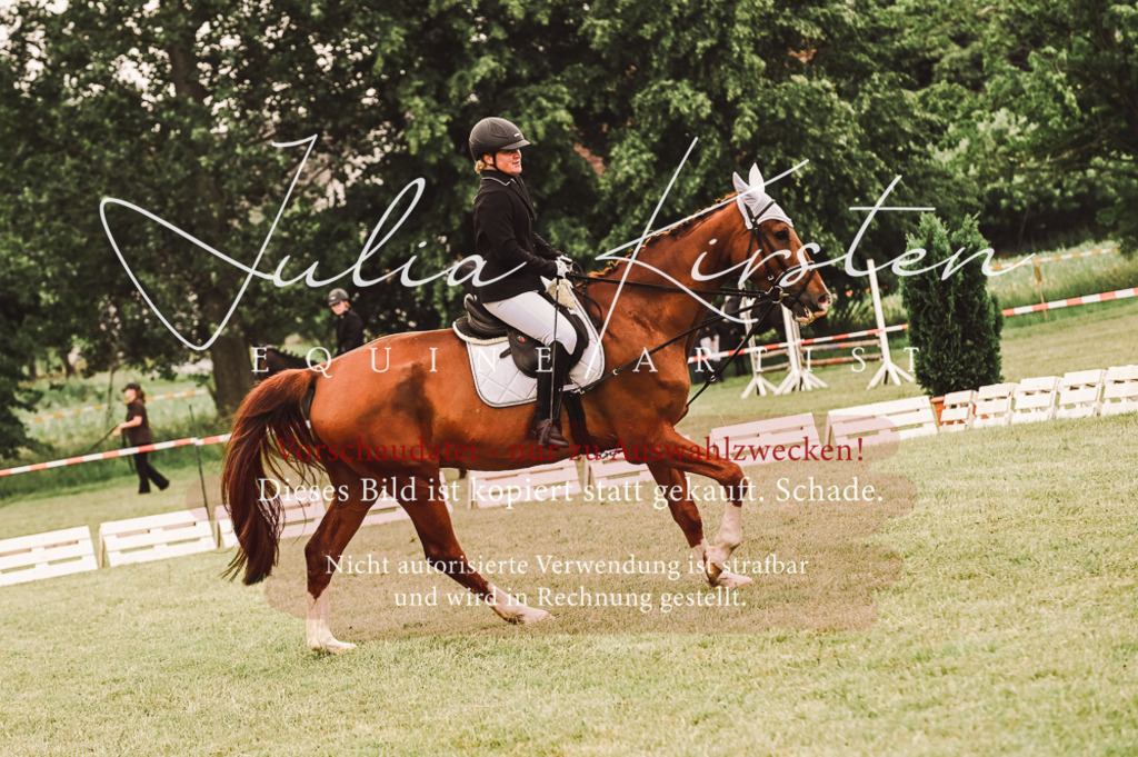 DSC_5129 | Pferde- und Turnierfotografie in Westsachsen. Pferdeportraits, Auftragszeichnungen und intuitive Kunst.