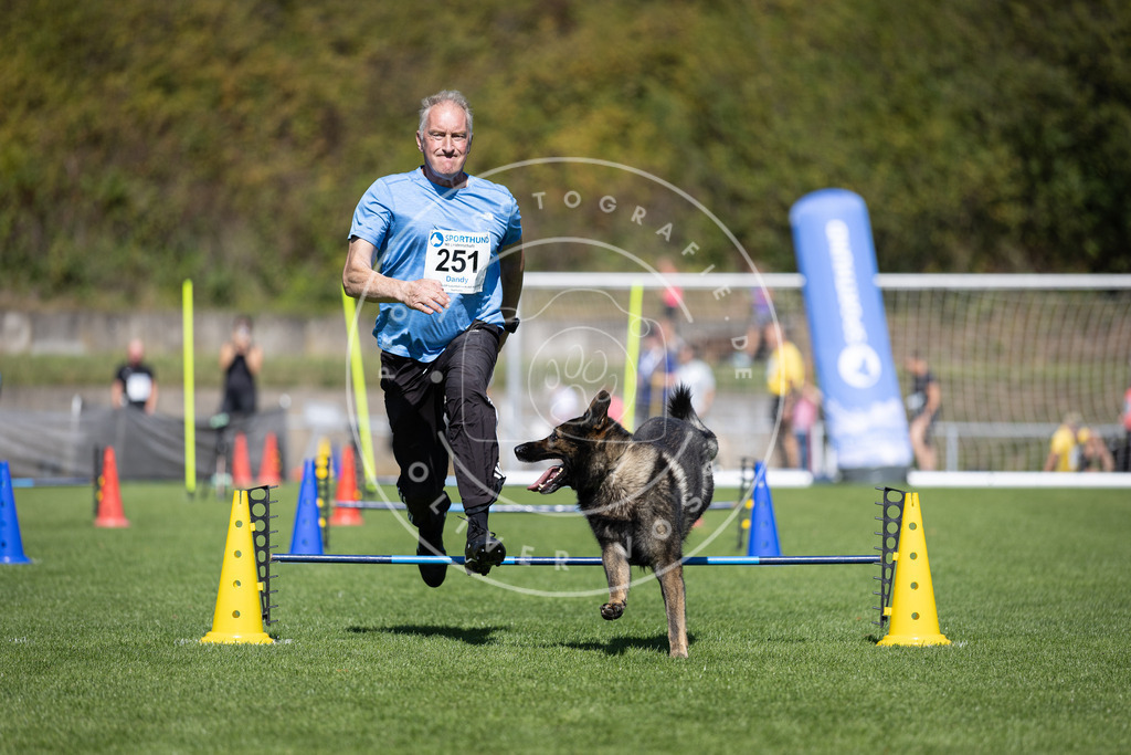 Pfotenfotografie_DV3A6238 | Hundefotografie, Tierfotograf, Pfotenfotografie, Fotoshooting Hund, Hunde Portrait, Hundesport, Hundeportraits, Heideshooting, Hunde, Sportfotograf, Hundefotograf, Turnierhundsport, THS,  - Realisiert mit Pictrs.com