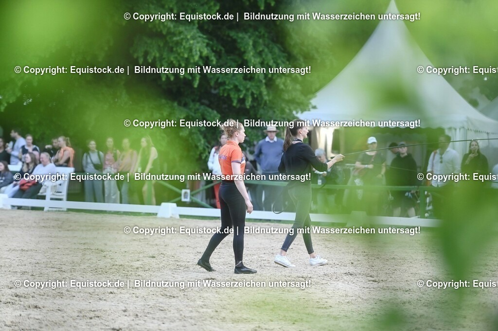 D78_3355 | equistock