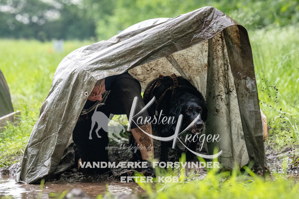 0949_ZZ91843 | kk-dogfotos