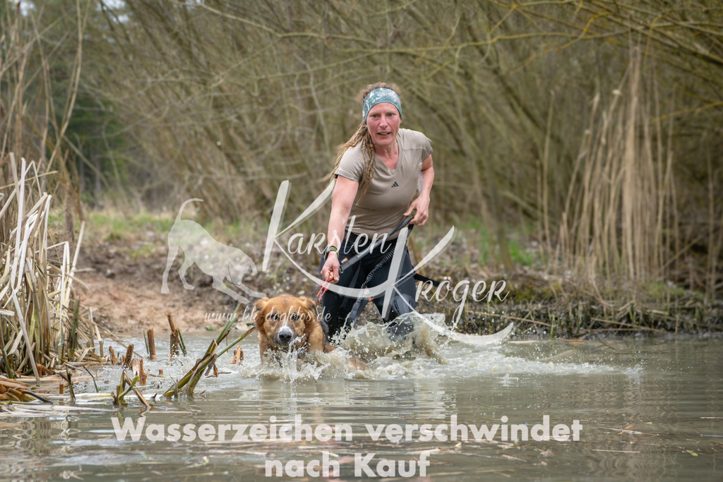 1330_ZZ99566 | kk-dogfotos