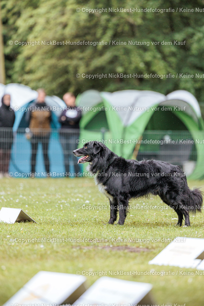 RO-Blumenthal-2026-Nickbest-Hundefotografie-3890 | Dein Hund! Dein Moment! Deine Erinnerungen! Hundefotografie in Bremen Blumenthal. Ich fange die besonderen Momente deines Vierbeiners ein – ob Indoor mit Blitzanlage oder in der freien Natur. Sicher dir dein Moment und dein Termin für eure Erinnerungen.