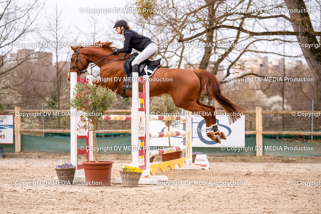 Kranichstein Tag 2-450 | dv-media-shop - Realisiert mit Pictrs.com