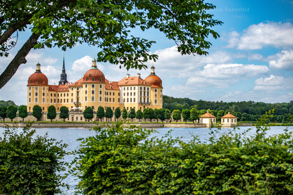 _DSC5564 | foto-rosenfeld