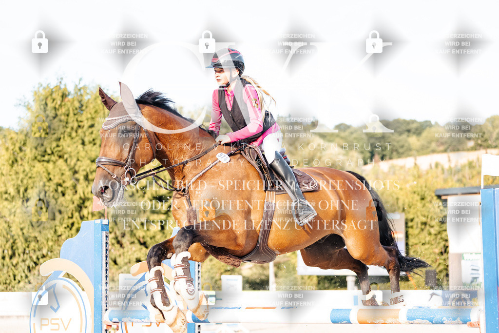 CK903610 | Turnierfotografie Pferdefotografie Trier Rheinland-Pfalz Pferdesport Reitsport Tierfotografie Sportfotografie Pferdevideo Pferdevideografie Equestrianvideography equestrianphotography  - Realisiert mit Pictrs.com