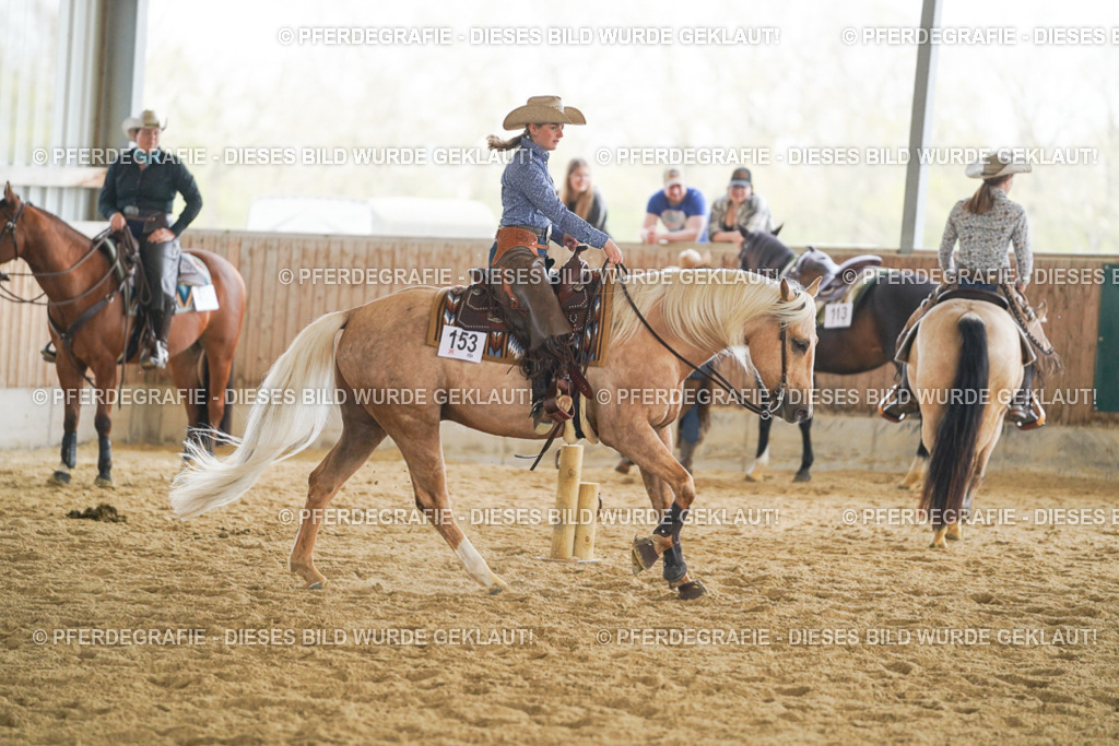 DSC05938 | Pferdegrafie