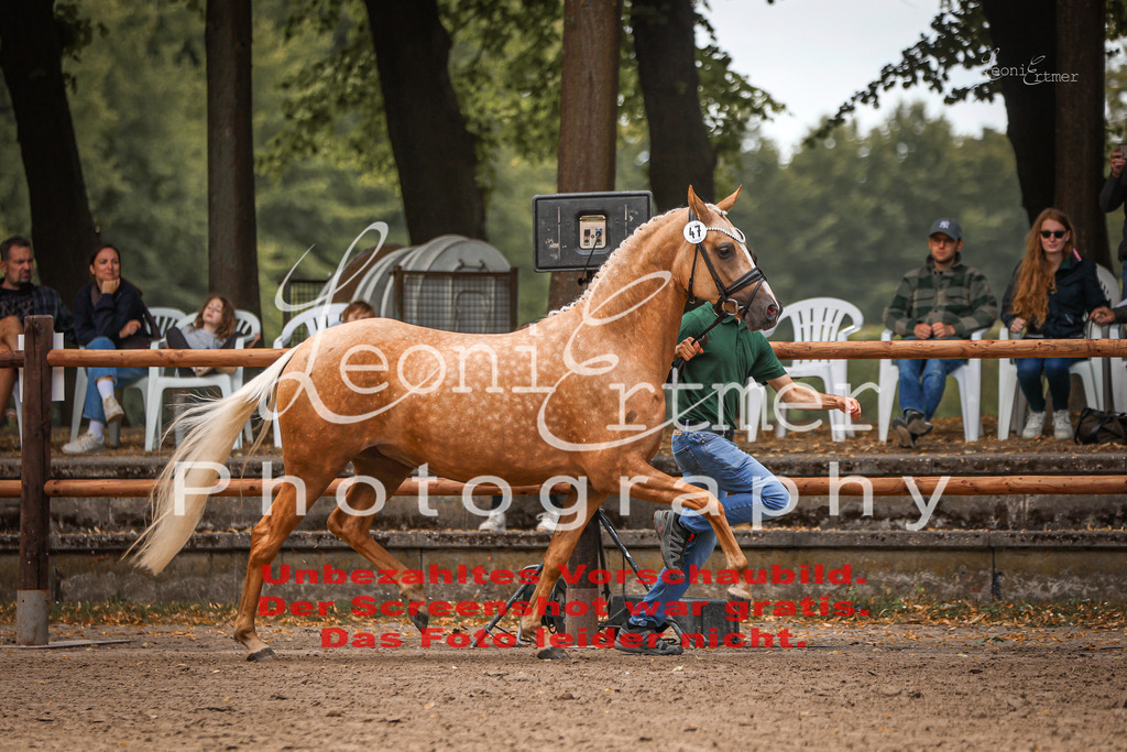 8.So00075 | Leoni Ertmer Photography - Realisiert mit Pictrs.com