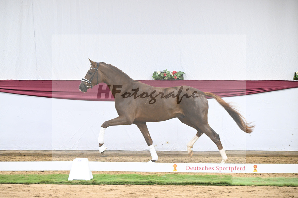 Kat-Nr. 138 Flashbang x Benetton Dream_Christian Gaeher_47251447 | hf-fotografie - Realisiert mit Pictrs.com