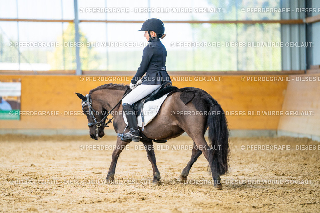 DSC06750 | Pferdegrafie