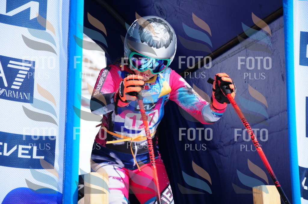 DSC_5040 | holidayphoto