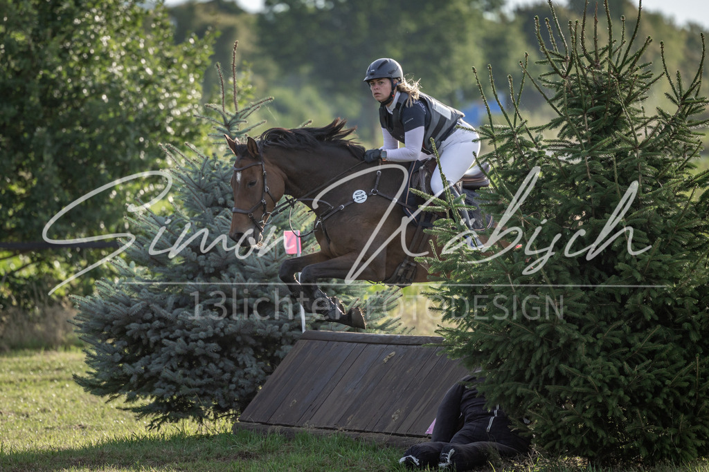 20250907-_3LI8393 | Tierfotografie Pferde, Hunde, Katzen, Haustiere.
Turnierfotografie Reitturniere, Reiten, Springreiten, Dressur in Hanau, dem Main-Kinzig-Kreis und dem Rhein-Main- Gebiet um Frankfurt