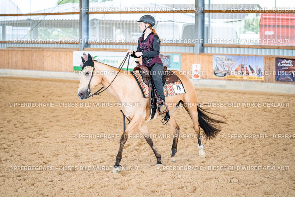 DSC02682 | Pferdegrafie