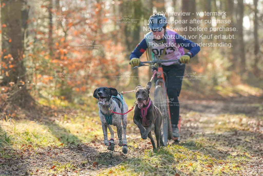 0_So_Scooter_2_lang-12 | stephaniefillaphotographie - Realisiert mit Pictrs.com