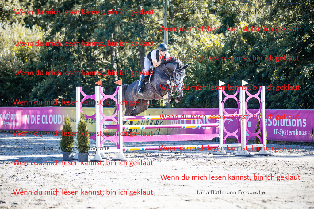 BK1A5886 | Turnierbilder Turnierfotos Nina Hüffmann Turnierfotografie Pferdefotografie Tierzeichnung Haustierzeichnung Pferdezeichnung Hundezeichnung Videograf  - Realisiert mit Pictrs.com