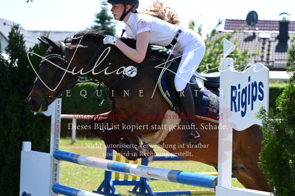 DSC_0806 | Pferde- und Turnierfotografie in Westsachsen. Pferdeportraits, Auftragszeichnungen und intuitive Kunst.
