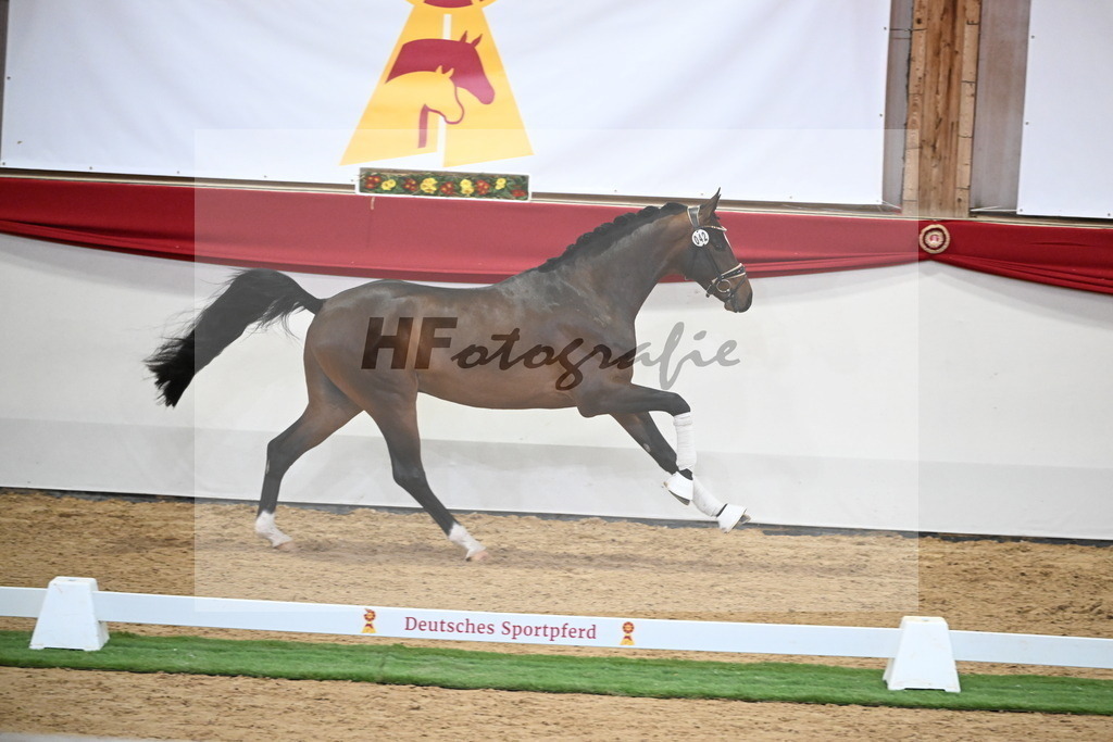 Kat.-Nr. 42 v. Benicio_De Vittorio_2250042 | hf-fotografie - Realisiert mit Pictrs.com
