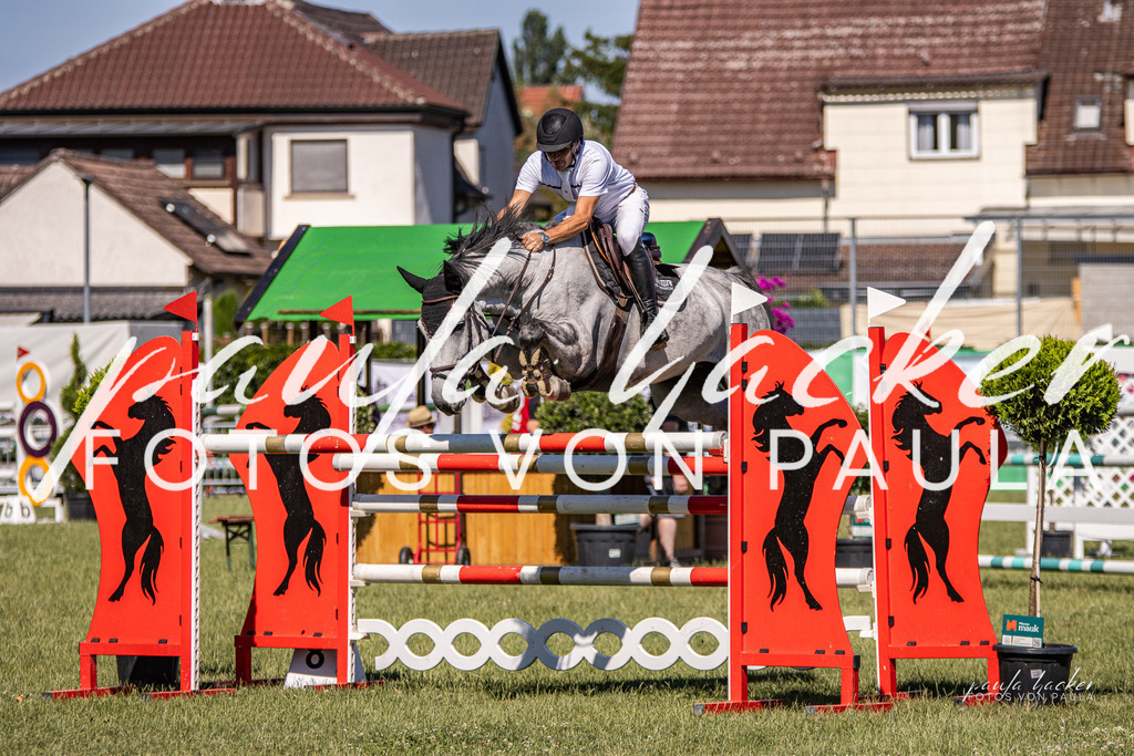 IMG_0685 | Erleben Sie dynamische Sport- und emotionale Tierfotografie in Süddeutschland mit Fotos von Paula. Spezialisiert auf Pferde- und Hundefotografie sowie Sportevents. Kontaktieren Sie mich für einzigartige und ausdrucksstarke Bilder Ihrer besonderen Momente. - Realisiert mit Pictrs.com