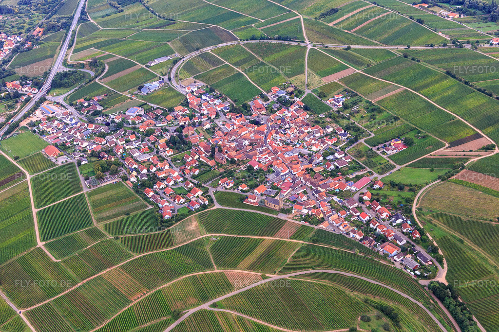 Luftbild: Ortsansicht aus Nordwesten in Birkweiler im Bundesland Rheinland-Pfalz in Deutschland. Foto: IMG_128488.jpg vom 21.08.2021 durch Werner Riehm/FLY-FOTO.de