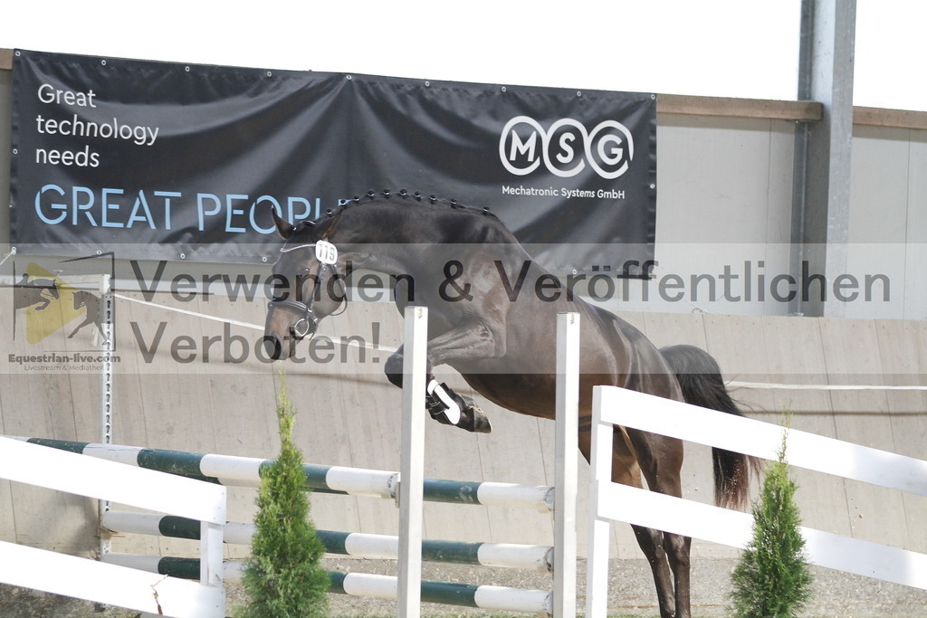 _MG_0587 | equestrian-live-com