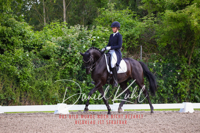 DKP41671 | Turnierfotos kaufen im Webshop von Daniel Kuhl Photography – entdecke professionelle Reitsportfotos aus Turnieren & Events. Hochwertige Turnierbilder online bestellen & sichern. Jetzt Fotos von Reitsportturnieren kaufen!