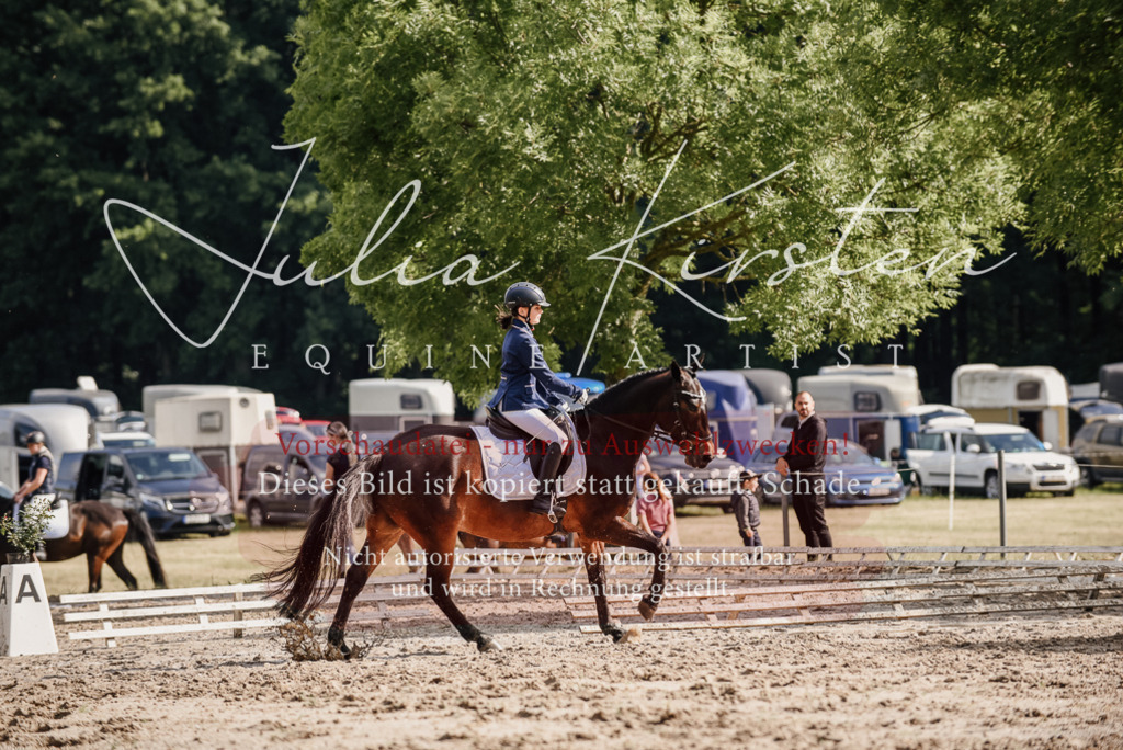 DSC_9156 | Pferde- und Turnierfotografie in Westsachsen. Pferdeportraits, Auftragszeichnungen und intuitive Kunst.
