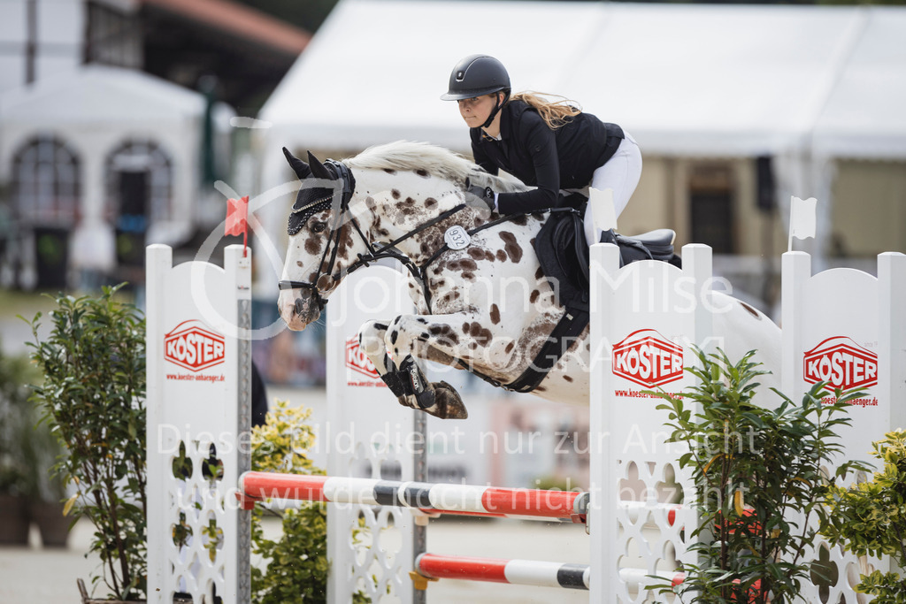 250713_BHO_Spring-WB-501 | Deine schönsten Turniermomente als professionelle Fotos! Entdecke hochwertige Pferdesport-Fotografie im Online-Shop. Jetzt Fotos finden & bestellen!