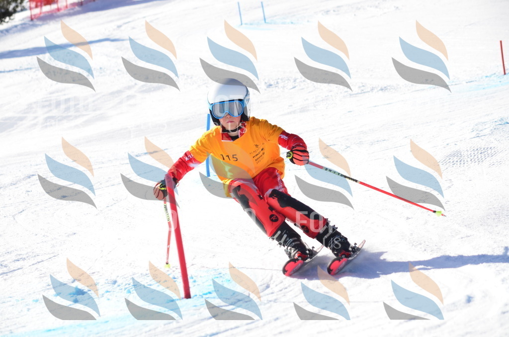 C6312 | holidayphoto